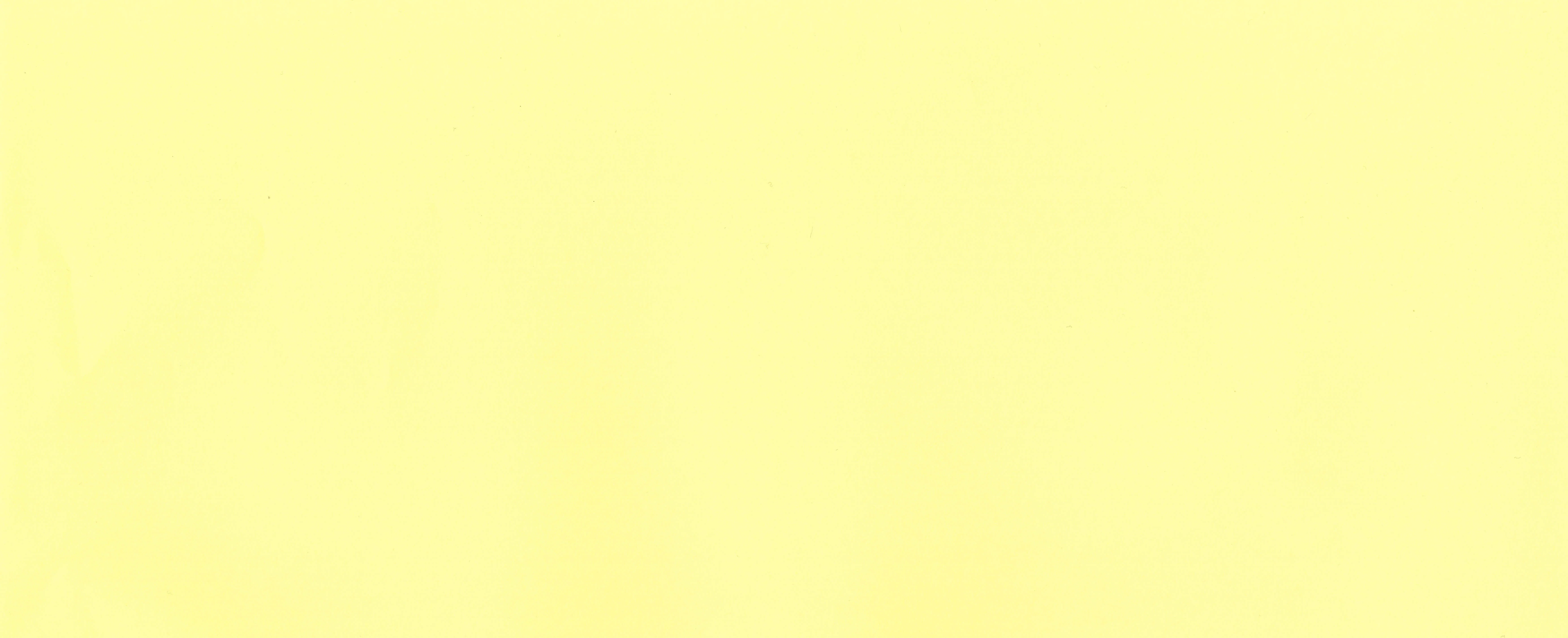 Canary Yellow 120gsm