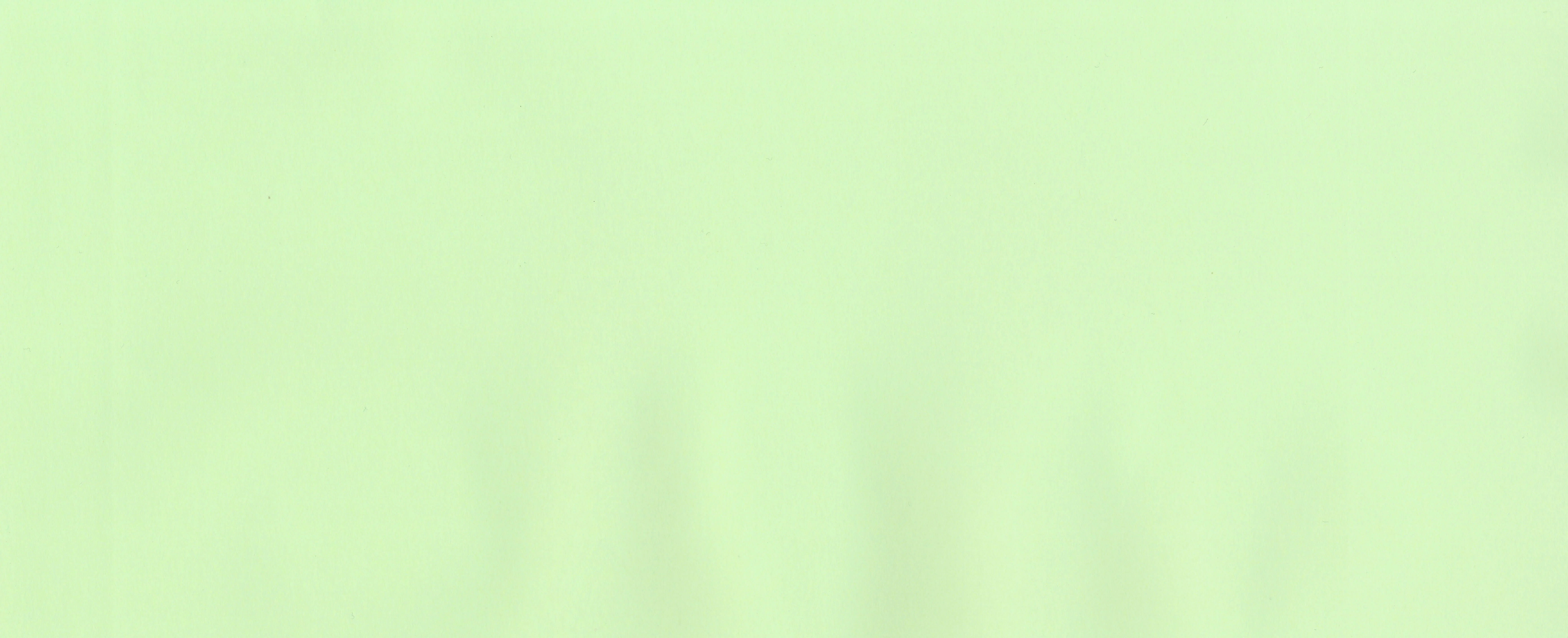 Pastel Green 80gsm