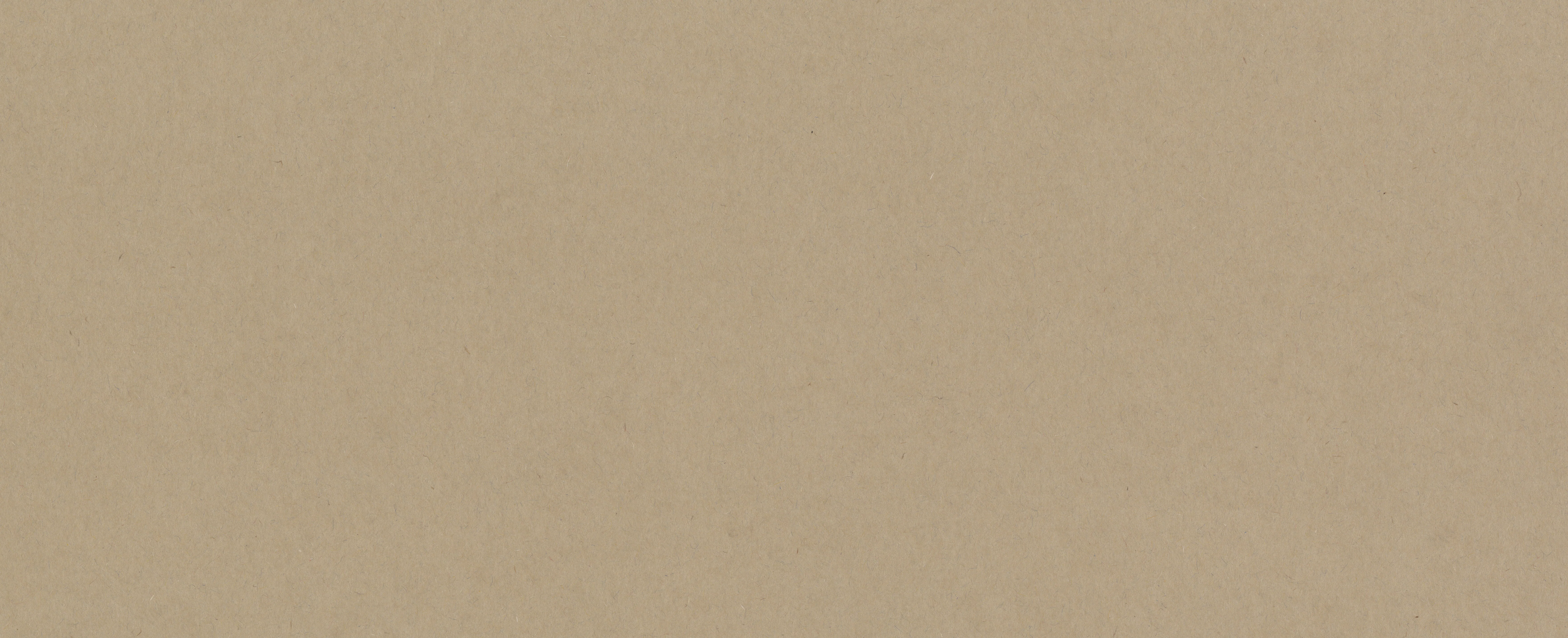 Vanguard Biscuit 300gsm